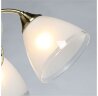 Подвесная люстра MW-Light 105010805