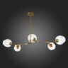 Потолочная люстра Evoluce SLE154823-05
