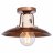 Потолочная люстра Lussole Loft LSP-8161