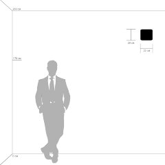 Настенный светильник Lightstar 808620