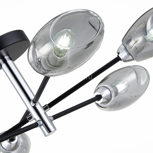 Потолочная люстра Evoluce SLE155512-06