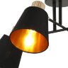 Потолочная люстра ILLUMICO IL6116-4COU-79 BK GD Abelie