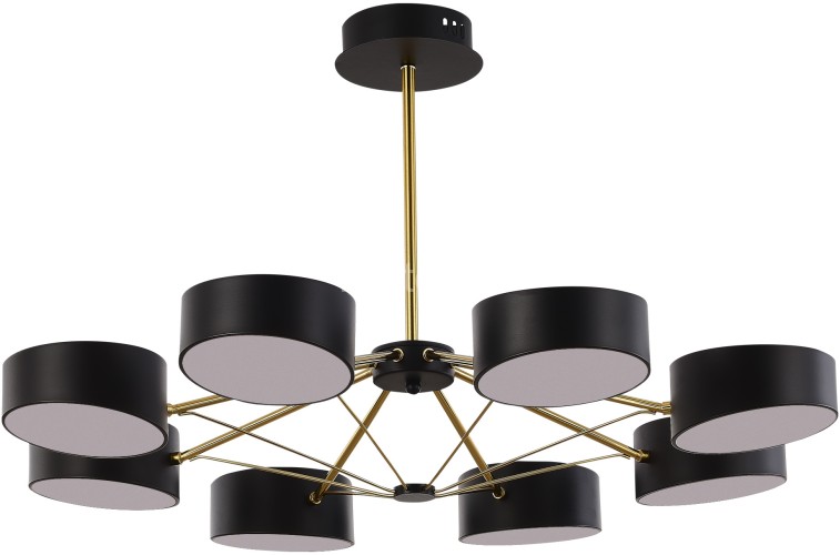 Потолочная люстра Evoluce SLE6005-402-08