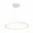 Подвесной светильник ST Luce ST602.543.56